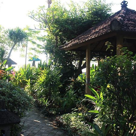 Cleopatra Beach Bungalows 호텔 러비나 외부 사진